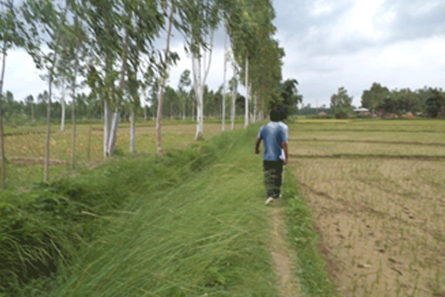 Irrigation project commend area