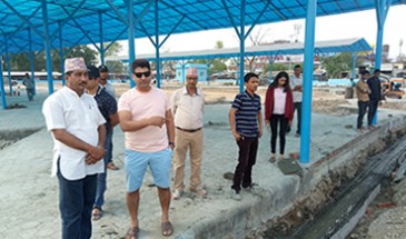 Monitoring of Bhimdutta Buspark with Mayor of Bhimdutta Municipality